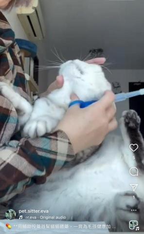 專業認證 寵物醫療保姆 - ? **用輔助投藥器幫貓貓餵藥，一齊為毛孩健康加油！**?❤️
餵貓貓食藥係咪成日好頭痛？其實用啱工具，加埋少少耐心，餵藥真係可以好簡單！✨

? 餵藥3大Tips：
1️⃣ 用輔助投藥器：安全快捷，唔怕傷到毛孩。
2️⃣ 餵藥前後要保持冷靜，令貓貓放鬆。
3️⃣ 餵完藥記得獎勵貓貓，增加佢哋嘅好感！