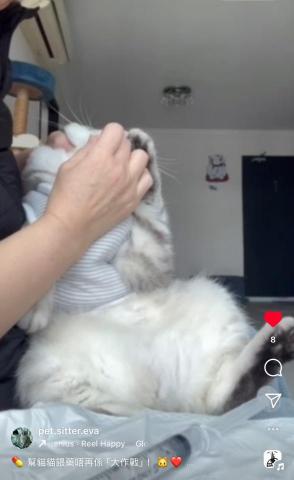 專業認證 寵物醫療保姆 - ? 幫貓貓餵藥唔再係「大作戰」！?❤️
作為一個專業寵物保姆，我明白好多毛孩家長都會因為餵藥而頭痛，但只要有啲技巧加耐心，其實餵藥可以好順利㗎！✨

? 餵藥Tips：
1️⃣ 保持冷靜，令貓貓有安全感。
2️⃣ 用適合嘅工具，例如餵藥器。
3️⃣ 餵完藥記住獎勵貓貓，讚佢哋做得好好！

如果你都需要幫手，或者想學更多寵物照顧技巧，記得搵我啦！?