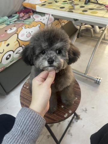 留下喵步 -  留下喵步 -