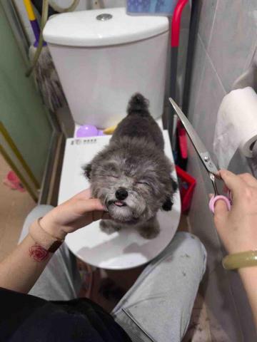 留下喵步 -  留下喵步 -