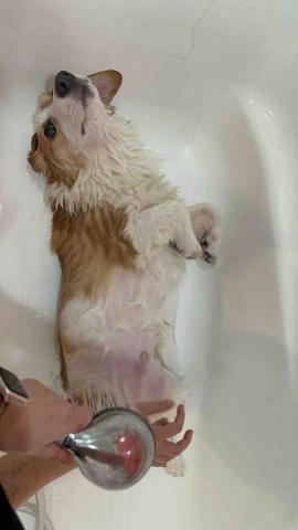 留下喵步 -  留下喵步 -