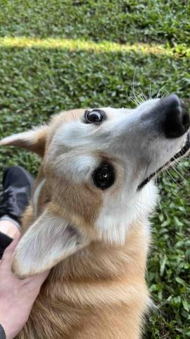 B.trainer -  B.trainer -