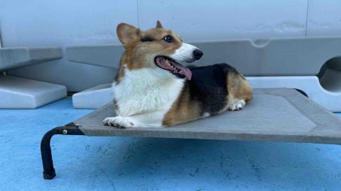 B.trainer -  B.trainer -