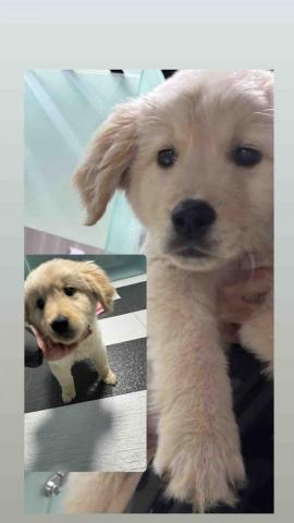 B.trainer -  B.trainer -