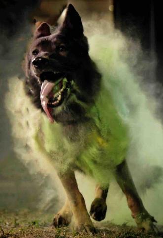 B.trainer -  B.trainer -