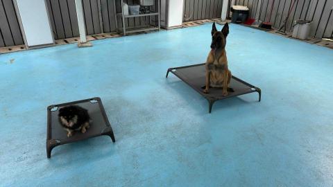 B.trainer -  B.trainer -