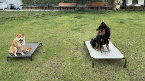 B.trainer -  B.trainer -