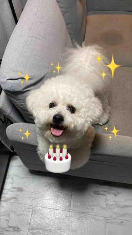 B.trainer -  B.trainer -