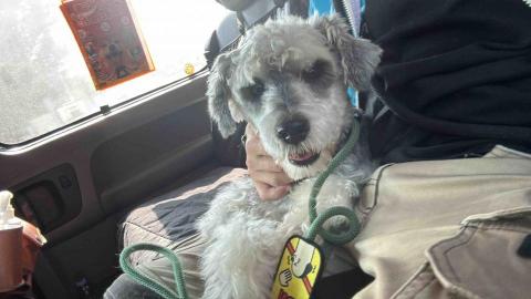 B.trainer -  B.trainer -