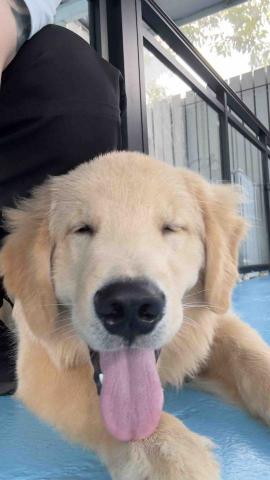 B.trainer -  B.trainer -