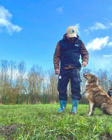 B.trainer -  B.trainer -