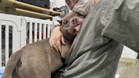 PetStory - 上門保姆服務&
基本美容+Spa??