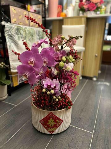 Tiffany SO - 賀年花