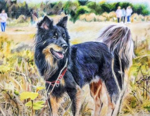 Inky_yoyo - 木顏色手繪