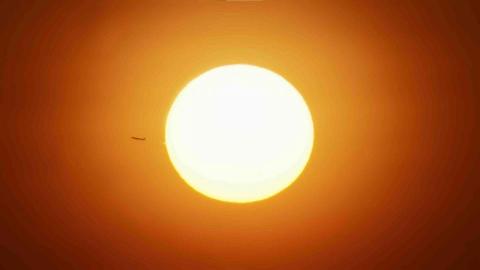 Treefork Studio - 案例劇照1-1