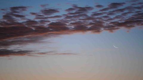 Treefork Studio - 案例劇照1-2