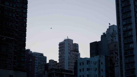 Treefork Studio - 案例劇照3-3