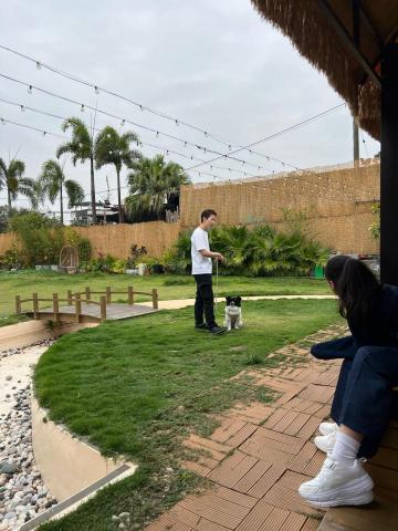 Kee_dog training - 講座 Kee_dog training - 講座