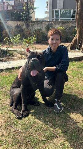 Kee_dog training - 行為糾正 兩歲卡斯羅 Kee_dog training - 行為糾正 兩歲卡斯羅