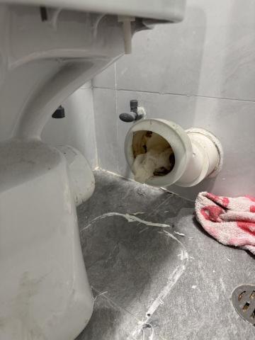 彭珈豪 - 座廁堵塞