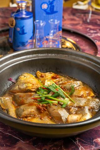 WAYNE.PHOTOGRAPHY.STUDIO - 