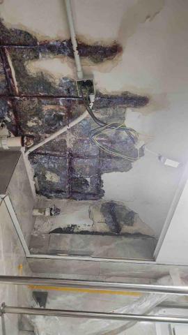 潤亨工程有限公司 - 修補天花石屎