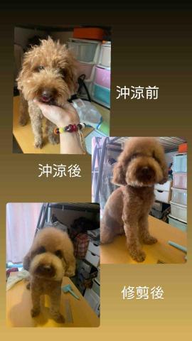 cty - 上門美容服務