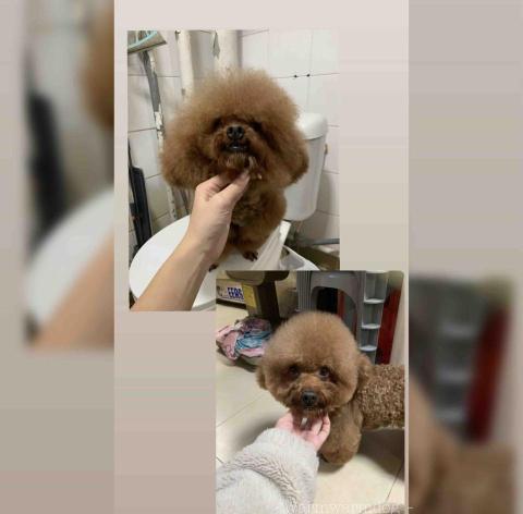 cty - 上網美容服務