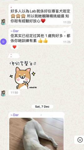 Wiggly Tails Training - 