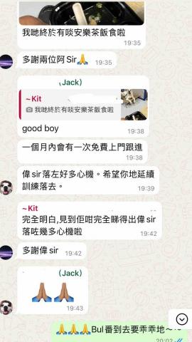 Wiggly Tails Training - 客人好評