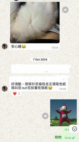 Wiggly Tails Training - 客人好評