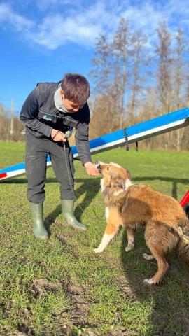 Wiggly Tails Training - 