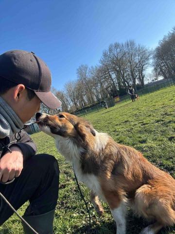 Wiggly Tails Training - 