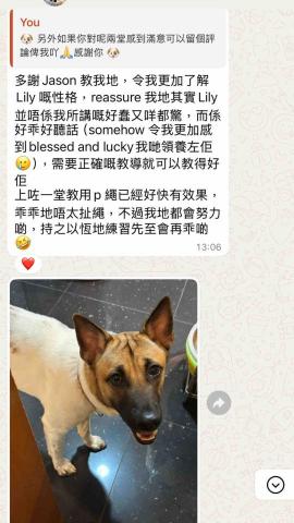 Wiggly Tails Training - 客人好評