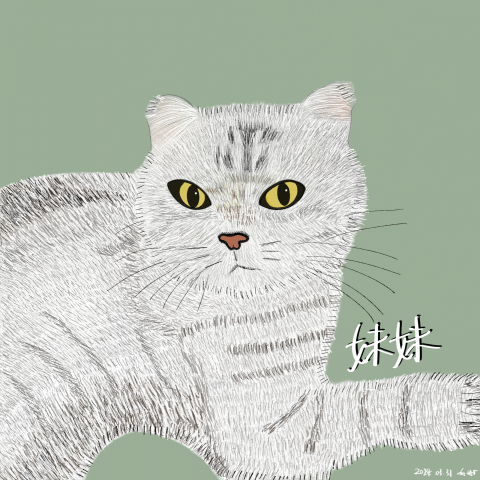 Grace Lai - pet portrait drawing