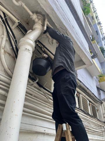 Pacco - 塞老鼠孔及以滅鼠、滅蟲