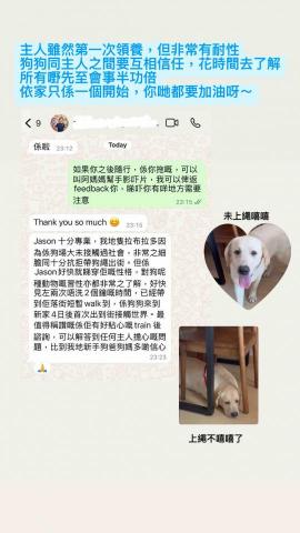 Wiggly Tails Training - 