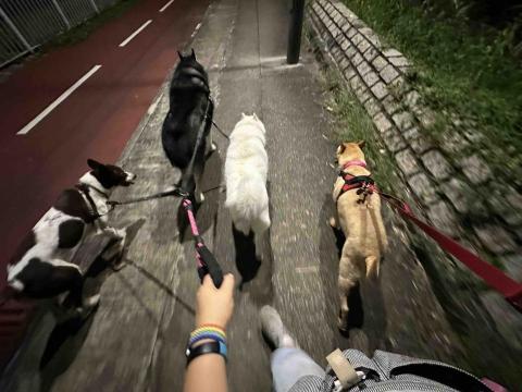 The Grace Maker_Fb - 一拖四