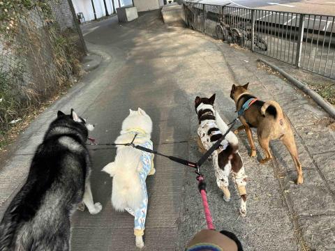 The Grace Maker_Fb - 一拖四