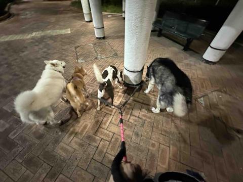 The Grace Maker_Fb - 一拖四