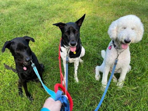 Carsten Cheung -  Carsten Cheung -