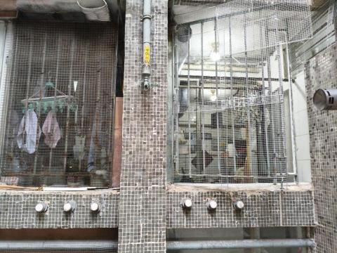 滅鼠 - 右手邊diy活動板 左手邊不關我事 滅鼠 - 右手邊diy活動板 左手邊不關我事