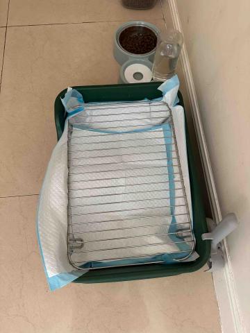 Lisasls333 - 餵食換水清潔廁所