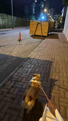 Lisasls333 - 外出散步