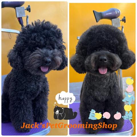 Jack&rsquo;sPetGroomingShop - 貴婦狗沖涼剪毛服務