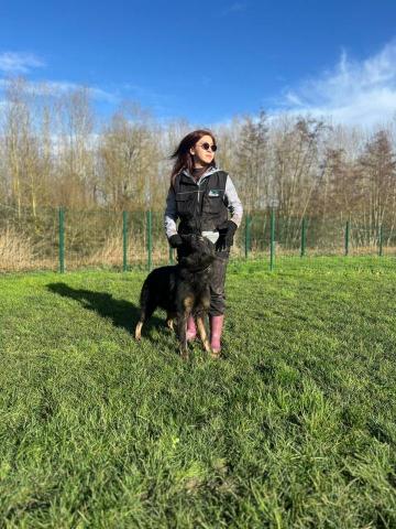 阿Ka - O’ My Paws Dog Training -  阿Ka - O’ My Paws Dog Training -