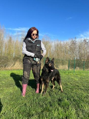 阿Ka - O’ My Paws Dog Training -  阿Ka - O’ My Paws Dog Training -