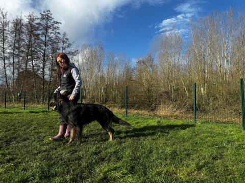 阿Ka - O’ My Paws Dog Training -  阿Ka - O’ My Paws Dog Training -