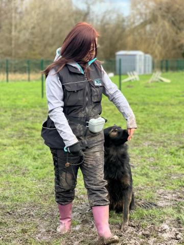 阿Ka - O’ My Paws Dog Training -  阿Ka - O’ My Paws Dog Training -