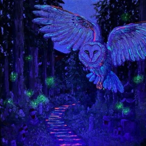 Fysh Wong - 夜光畫 Luminous effect《Koyasan Great Light 大光明》